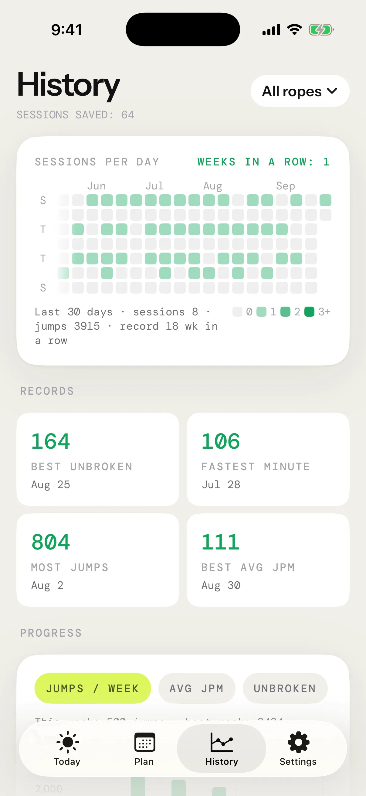 History on iPhone: sessions per day, records and progress